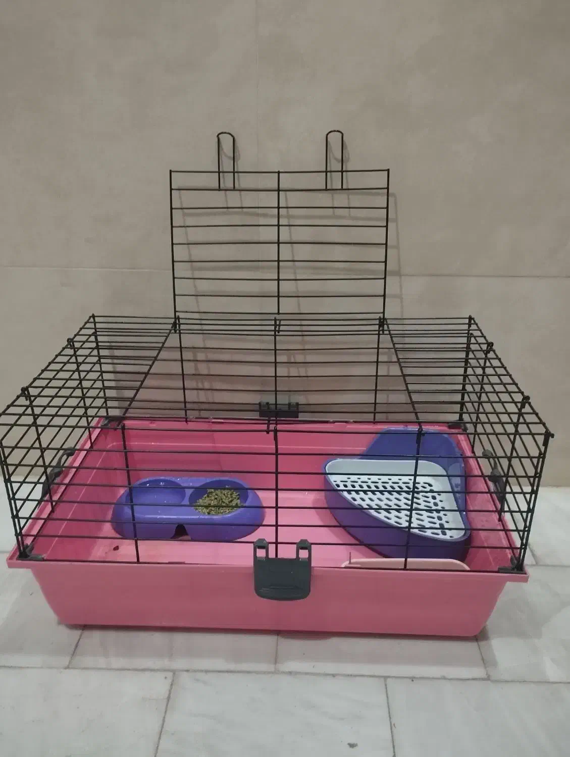 فروش فوری / تخفیف دارد|موش و خرگوش|قم, قلعه کامکار|دیوار