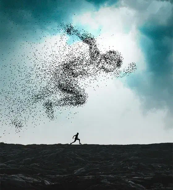 مشاوره تحصیلی و کنکور توسط برترینهای مشاوره کنکور|خدمات آموزشی|کرمان, |دیوار