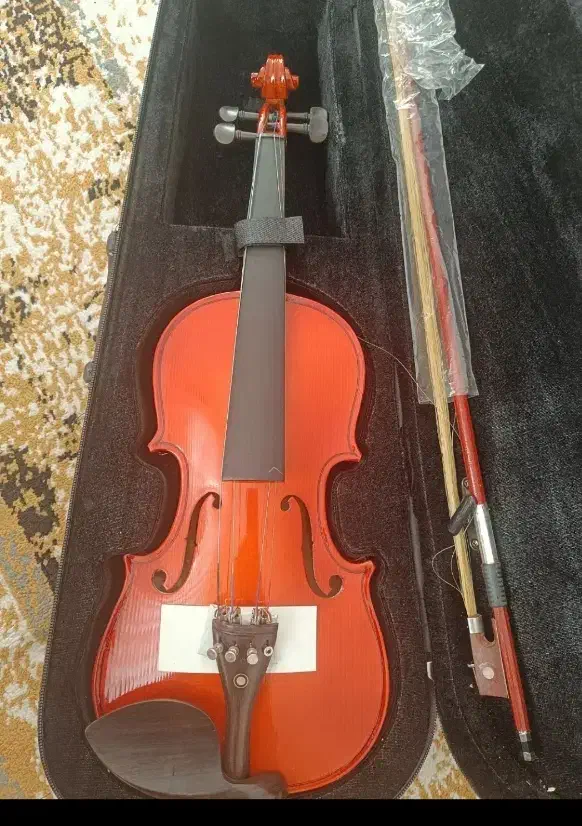 ویالون نو|ویولن|شیراز, شهرک والفجر|دیوار