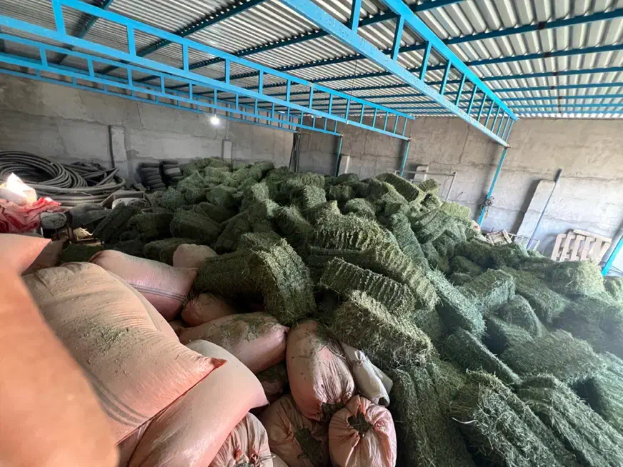 یونجه|خدمات باغبانی و درختکاری|بهبهان, |دیوار