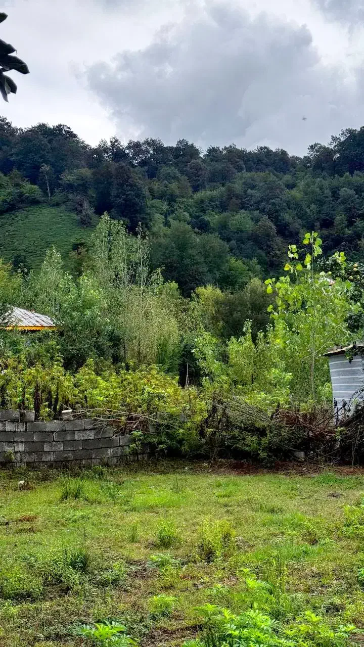 650متر خانه محوطه کوهپایه جنگلی با پروانه 3 طبقه|فروش خانه و ویلا|فومن, |دیوار