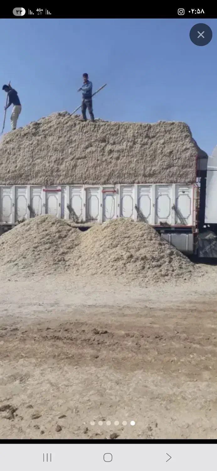 باگاس و کاه و تفاله نیشکر و پیت|خدمات حمل و نقل|باوی, |دیوار