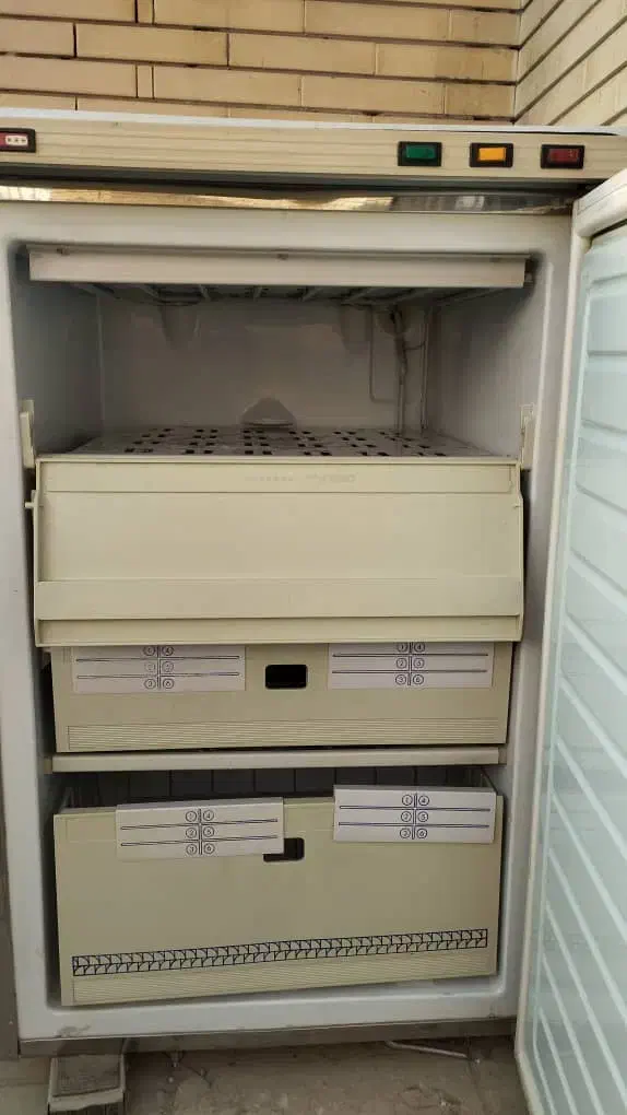 فریزر|یخچال و فریزر|شیراز, رازی|دیوار