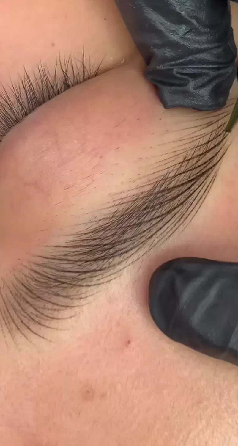 خدمات میکروبلیدینگ و میکروپیگمنتیشن|خدمات آرایشگری و زیبایی|اصفهان, ملک|دیوار