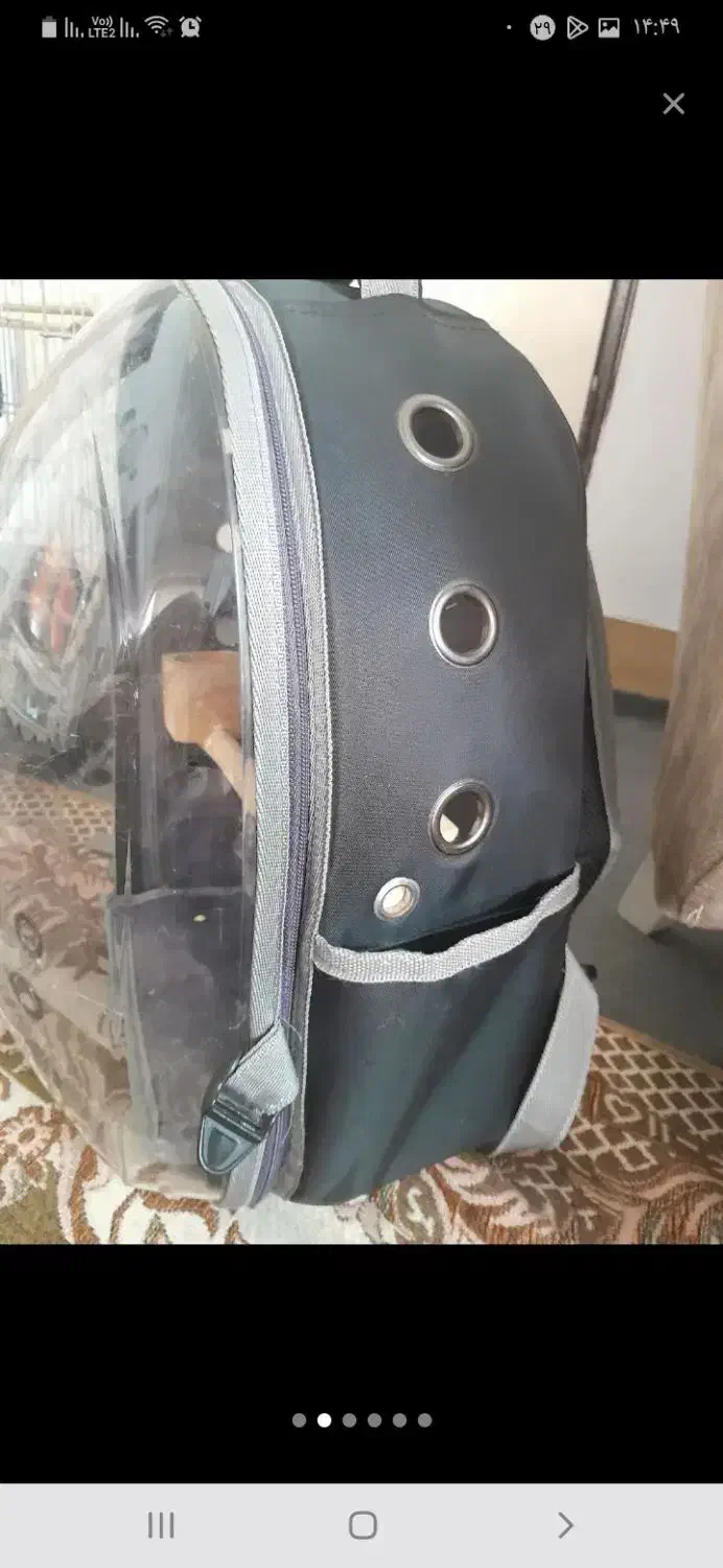 کوله پشتی|لوازم جانبی حیوانات|مشکین‌دشت, |دیوار