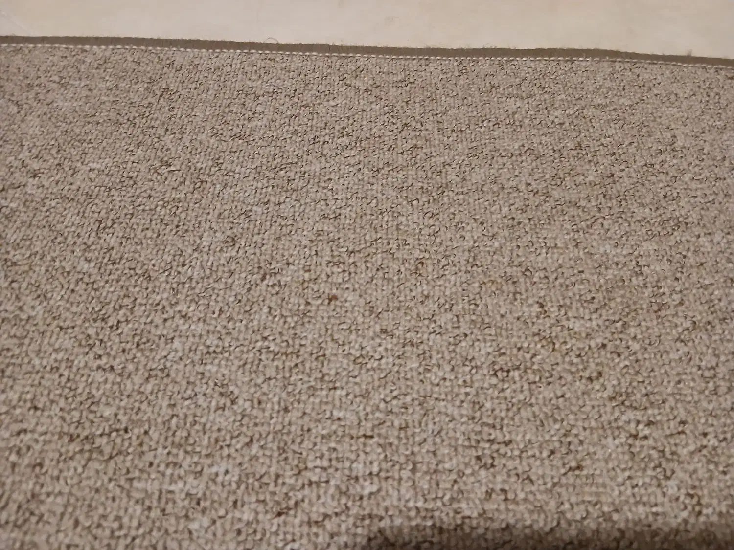 موکت لبه دوزی کرم شکلاتی|موکت|شیراز, تاچارا|دیوار