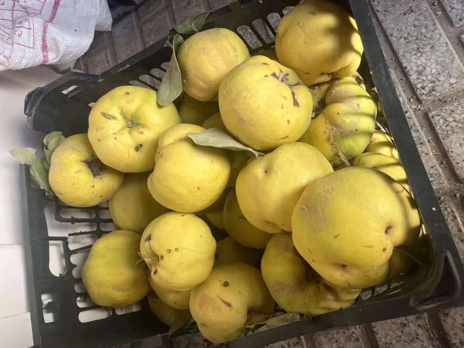 فروش به درجه یک|خوردنی و آشامیدنی|فریمان, |دیوار