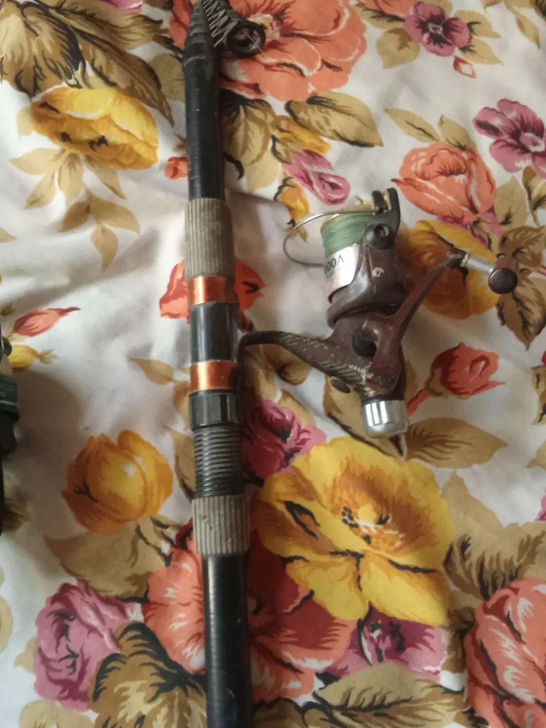 لنسر ماهیگیری|ماهیگیری|گرگان, |دیوار