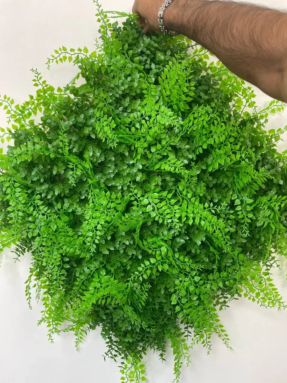 گرینوال خارجی و فنس دیواری برگی|گل مصنوعی|یزد, |دیوار