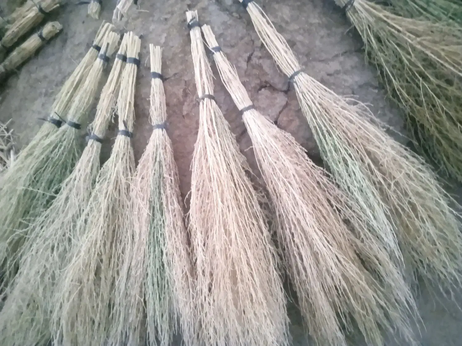 جارو|لوازم نظافت|تسوج, |دیوار