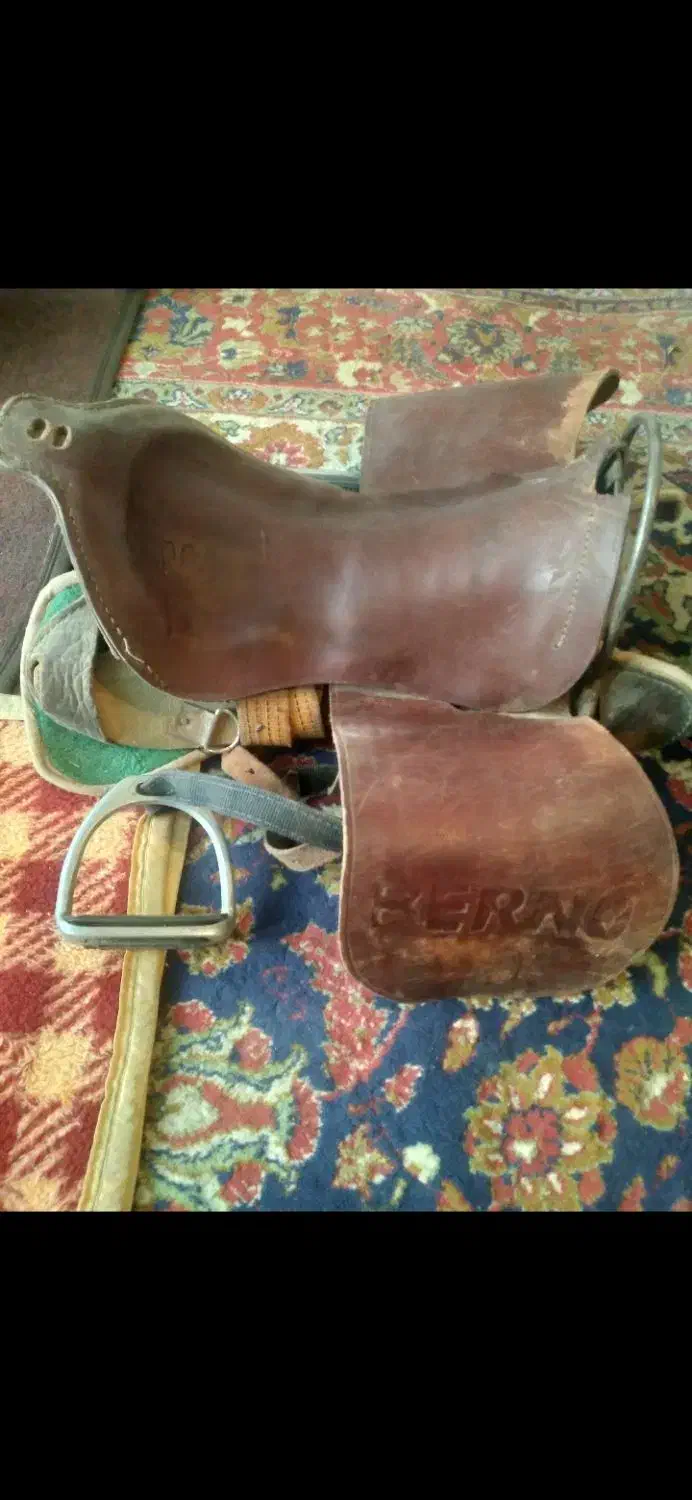 زین اسب|اسب و تجهیزات اسبسواری|کاشان, کوشک صفی|دیوار