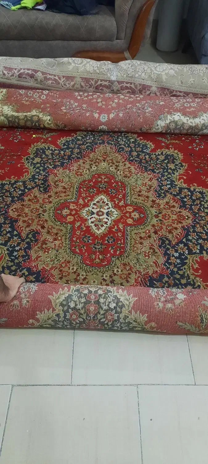 فرش و قالی|فرش|زاهدان, |دیوار