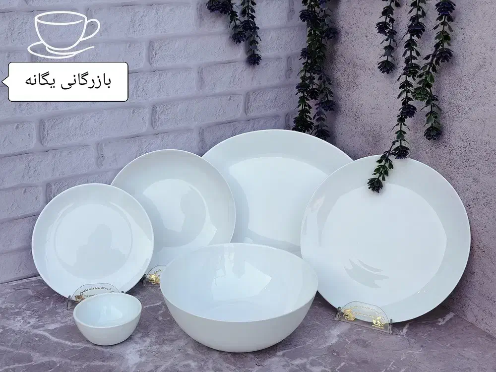 ظروف غذاخوری فله|ظروف سرو و پذیرایی|مشهد, حسینآباد|دیوار