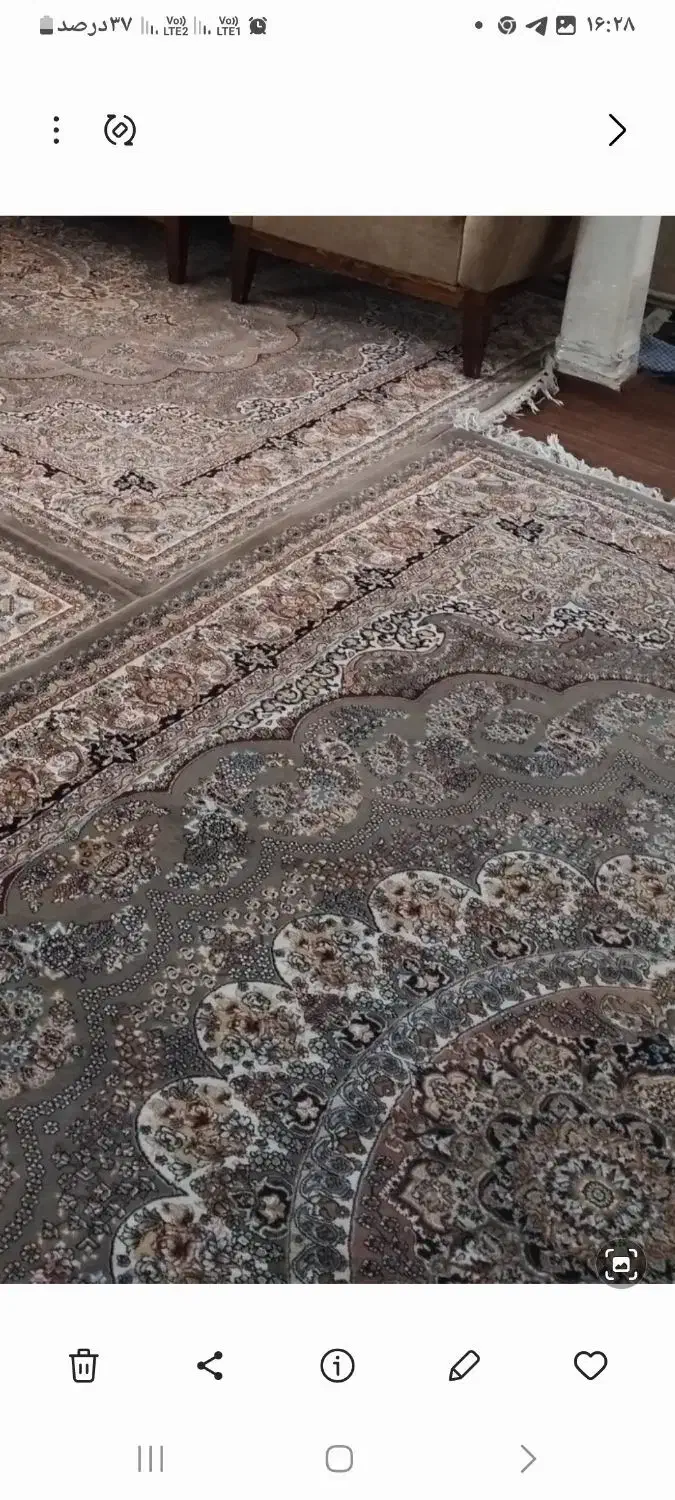 ۶متری|فرش|کرج, پیشاهنگی|دیوار