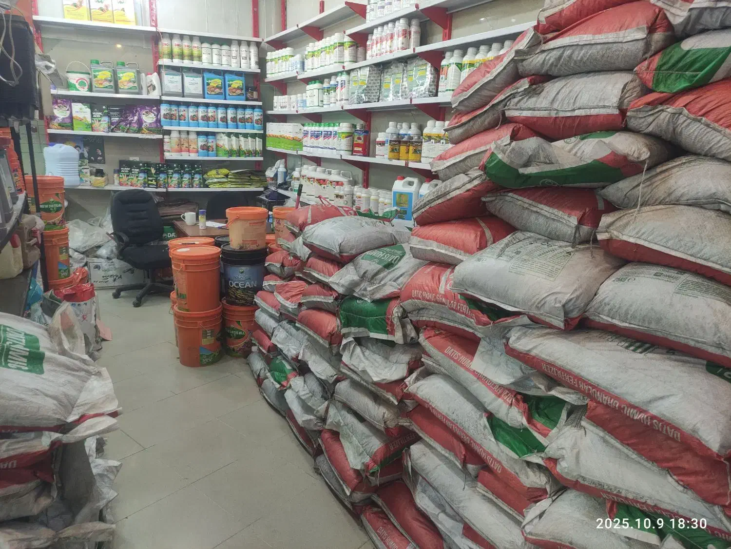 اسید هومیک گرانول ،چالکود،زمستانه|گل و گیاه طبیعی|قم, تکیه آقا سید حسنی|دیوار