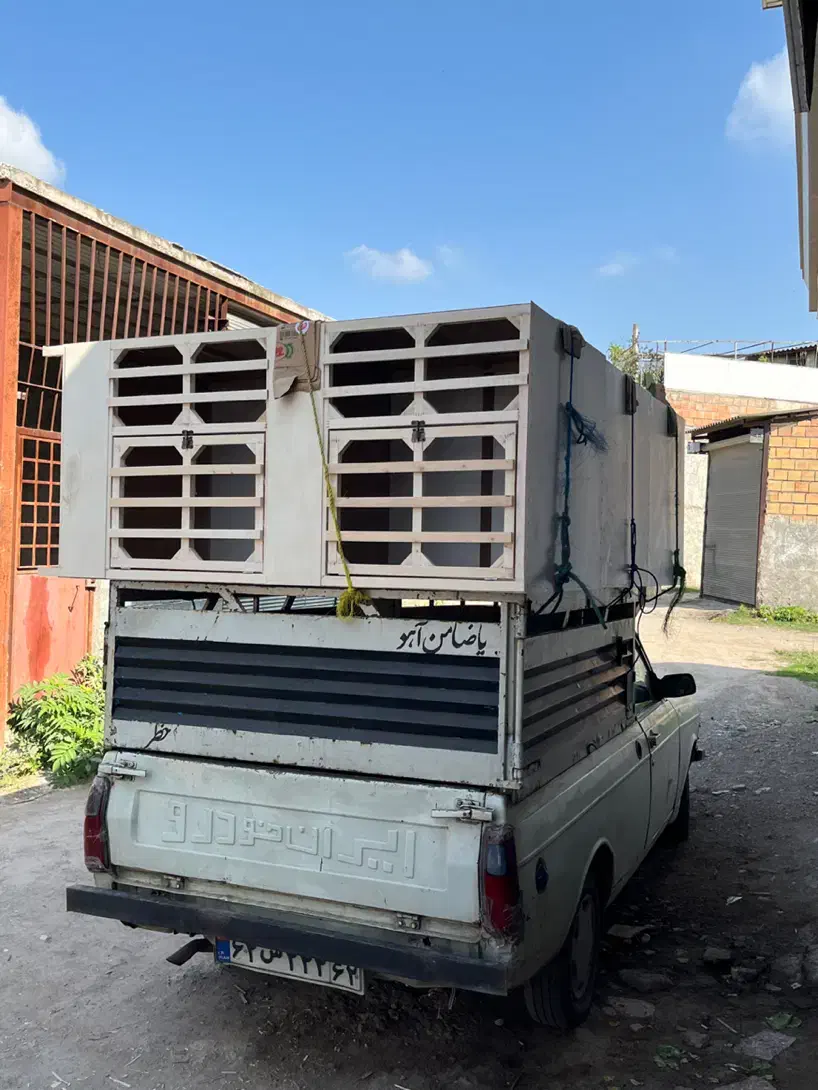 گنجه مرغ و خروس لاری و جفت کن کبوتر،کفتر نقد و چکی|لوازم جانبی حیوانات|ساری, |دیوار