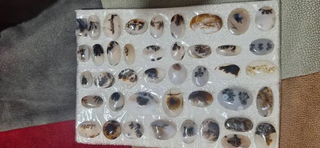 شجر قائن اصل معدن دونه ای ۳۵۰هزار  تومن|جواهرات|زنجان, |دیوار