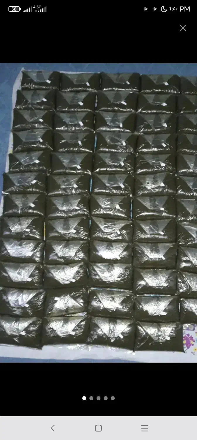 سبزی خورشتی رامهرمز|خوردنی و آشامیدنی|بندر امام خمینی, |دیوار