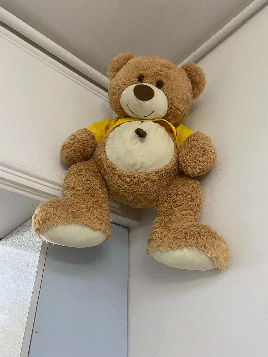 عروسک|اسباب‌‌بازی|قدس, شهر‌قدس|دیوار