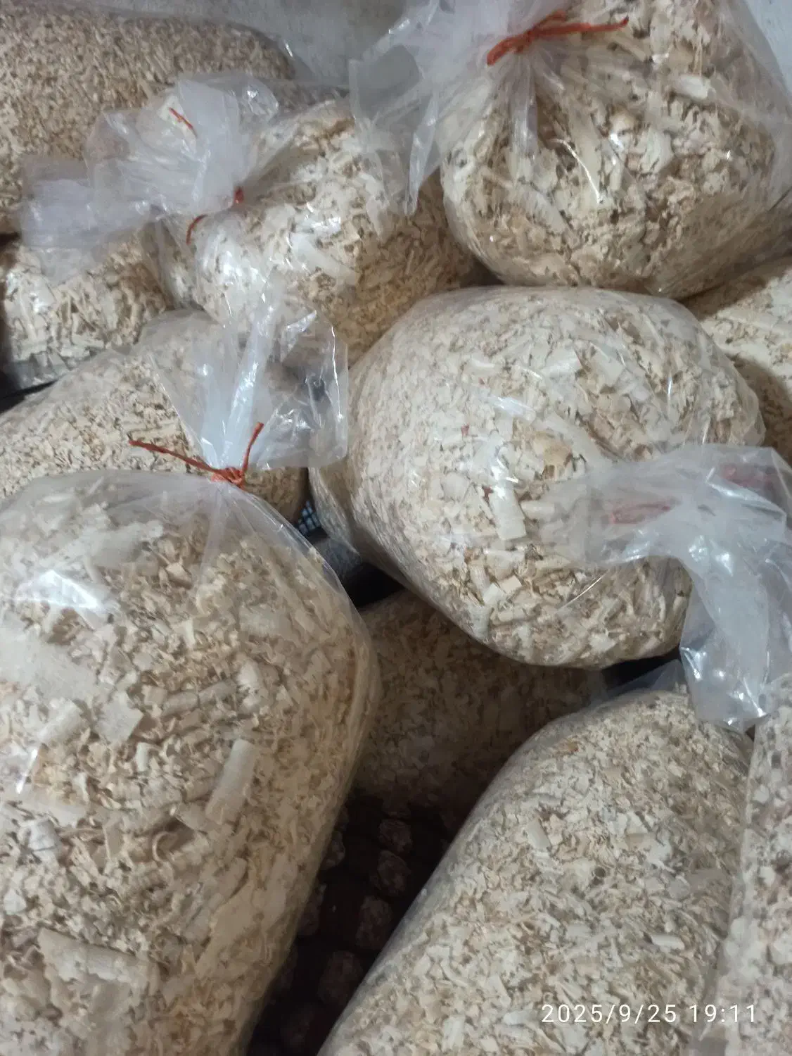 پخش پوشال و اره خاک با کمترین قیمت|عمدهفروشی|رشت, حمیدیان|دیوار