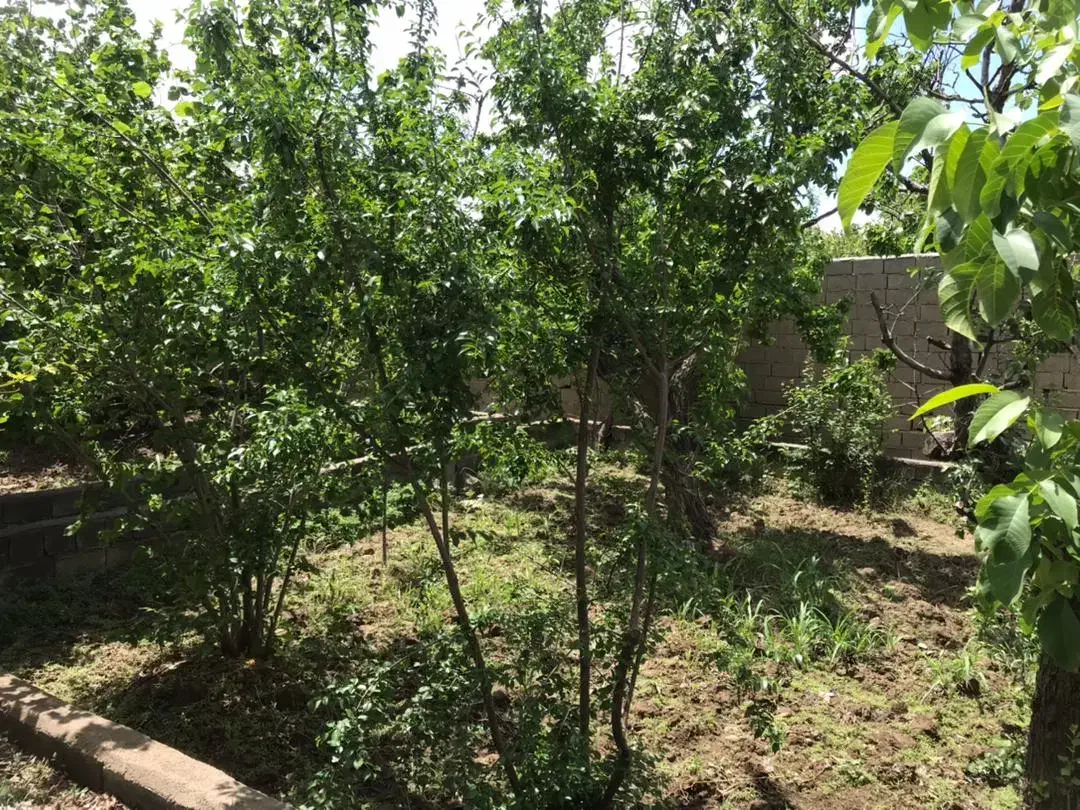 باغچه کاسبی /۱/۲۵۰میلیارد/قابل ساخت/شبنم احمدی|فروش زمین و ملک کلنگی|شهریار, رامین|دیوار