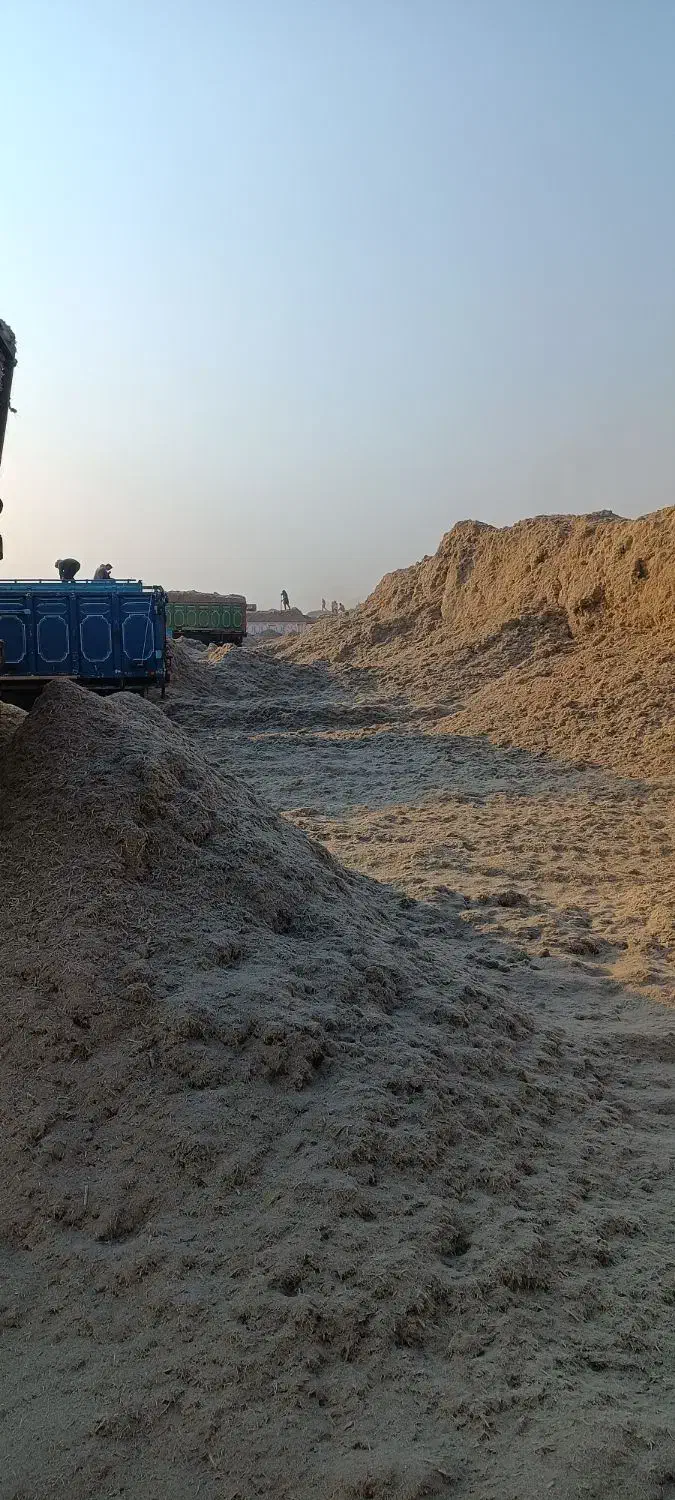 کاه نیشکر|عمده‌فروشی|کارون, |دیوار