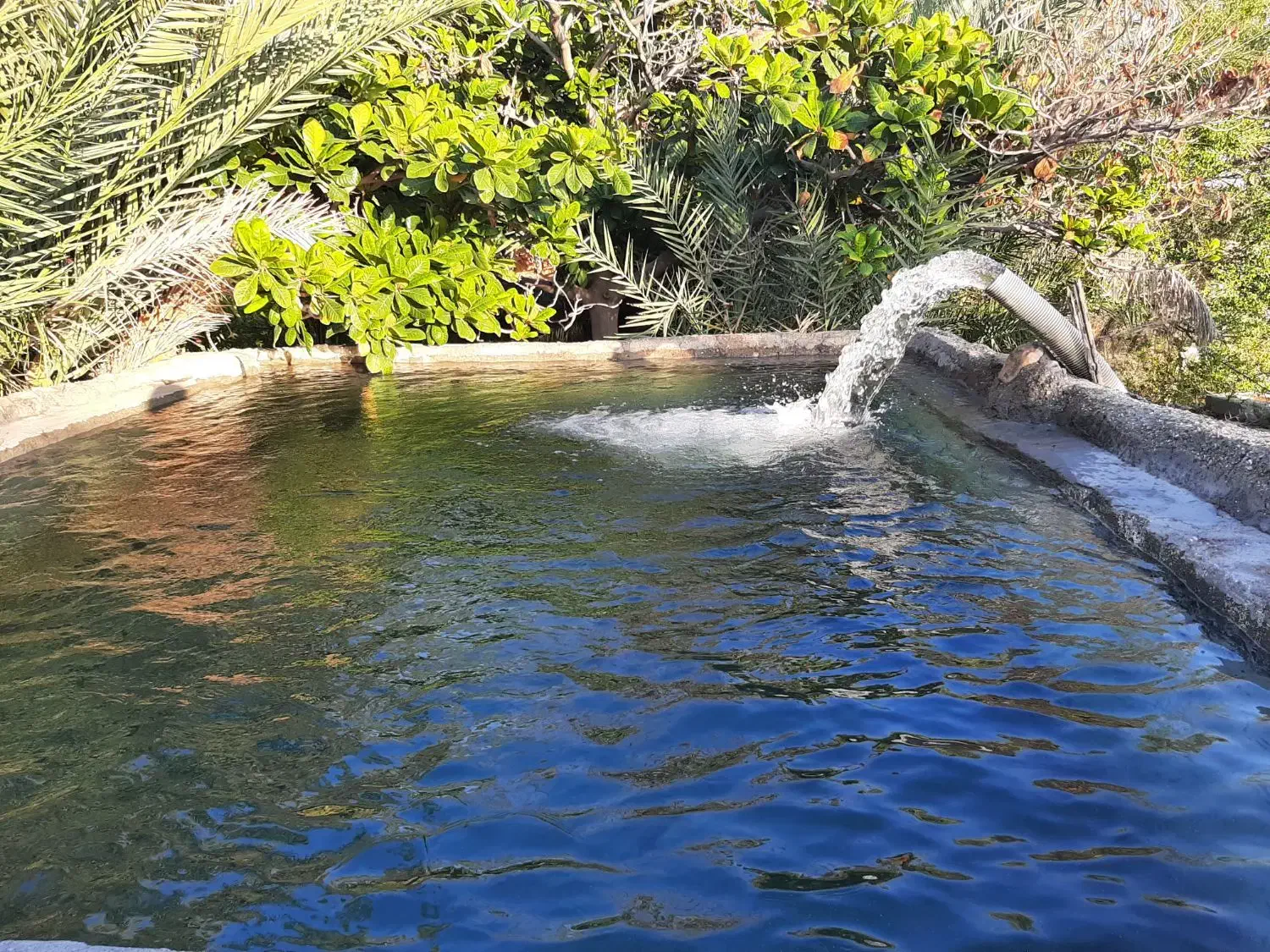 زمین کشاورزی ، روستای چاهستان|فروش دفتر صنعتی، کشاورزی، تجاری|تخت, |دیوار