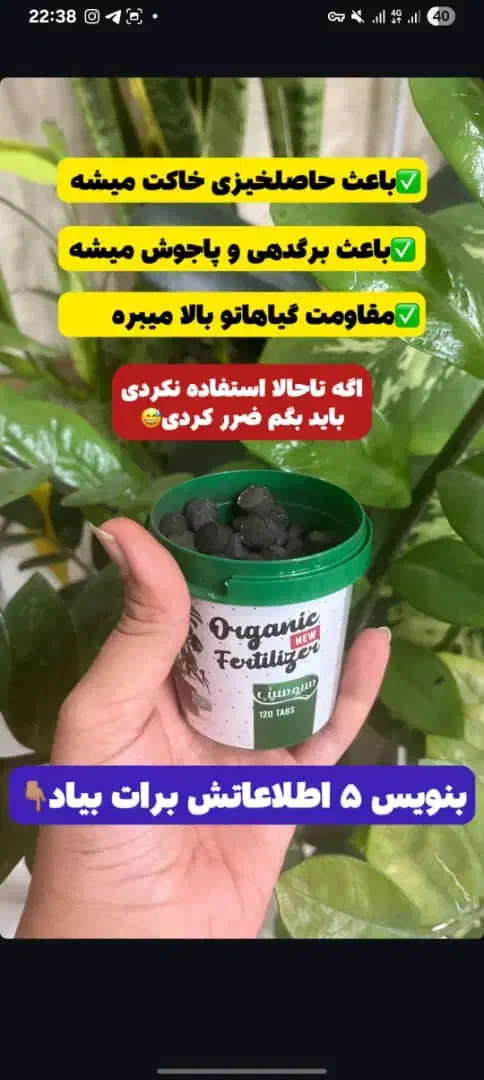 کودگل وگیاه|گل و گیاه طبیعی|اهواز, گیت بوستان|دیوار