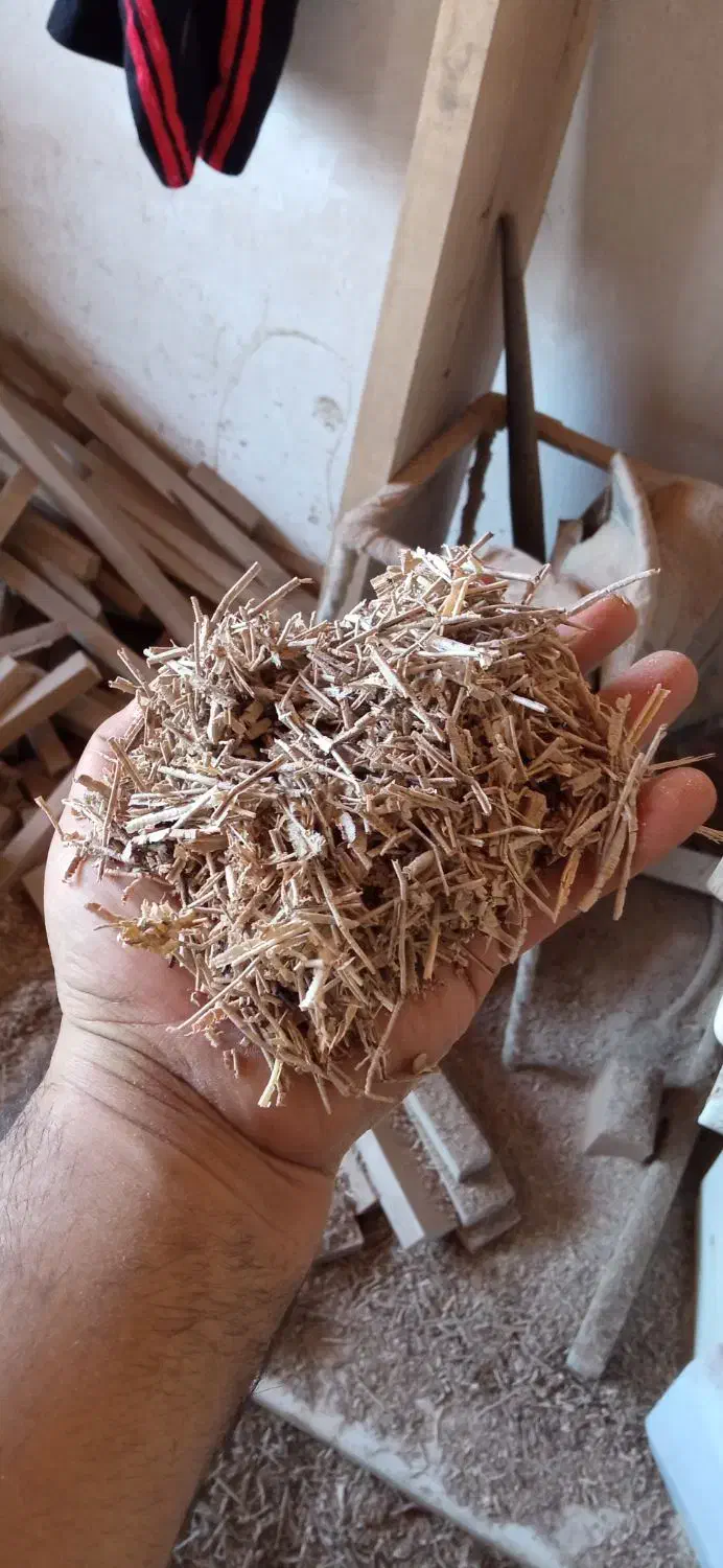 پوشال و خاک  چوب گردو ۱۰۰درصدخشک|لوازم جانبی حیوانات|لنگرود, |دیوار