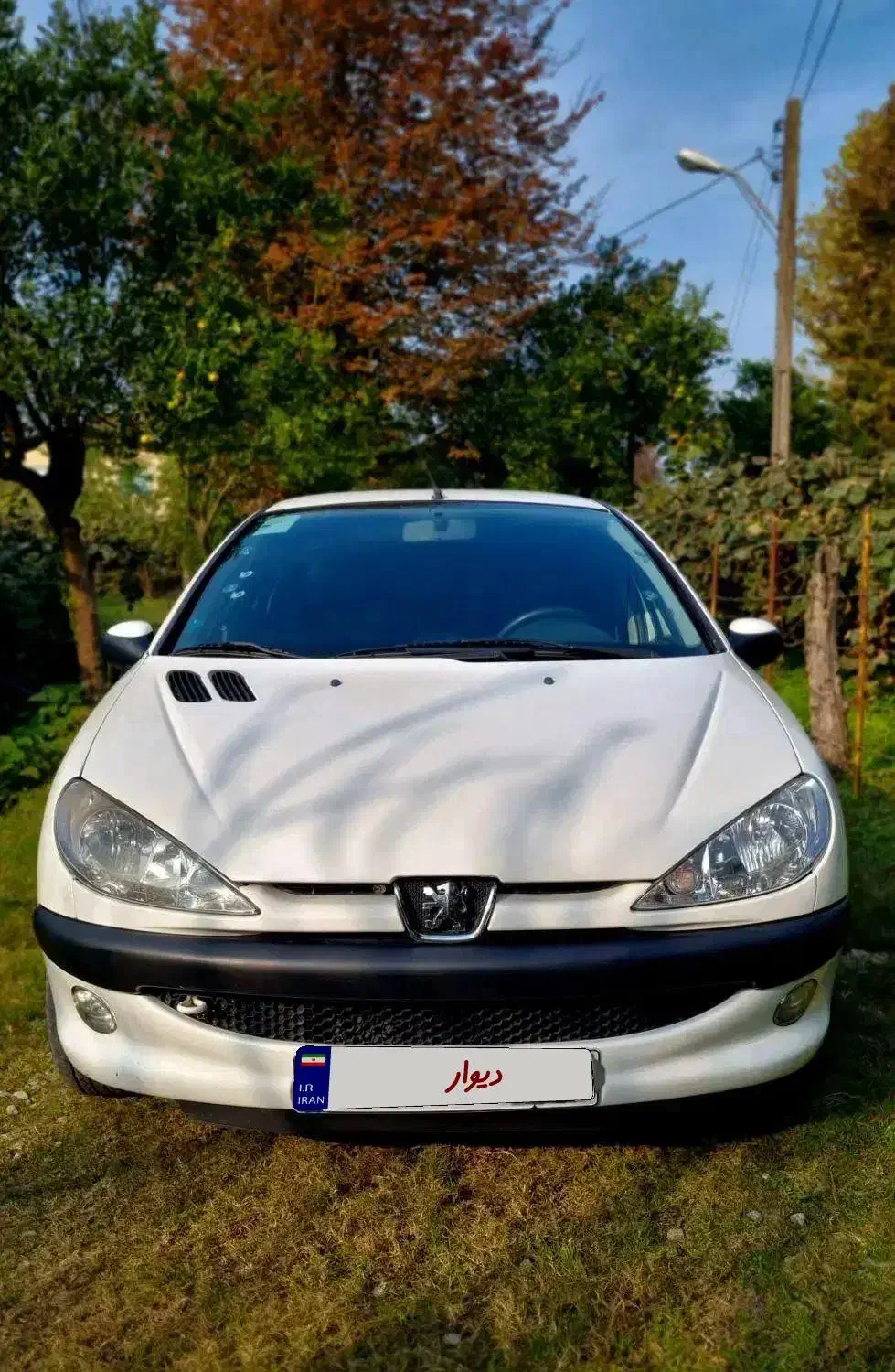 ۲۰۶ تیپ پنج دریچه گاز سیمی|خودرو سواری و وانت|عباس‌آباد, |دیوار