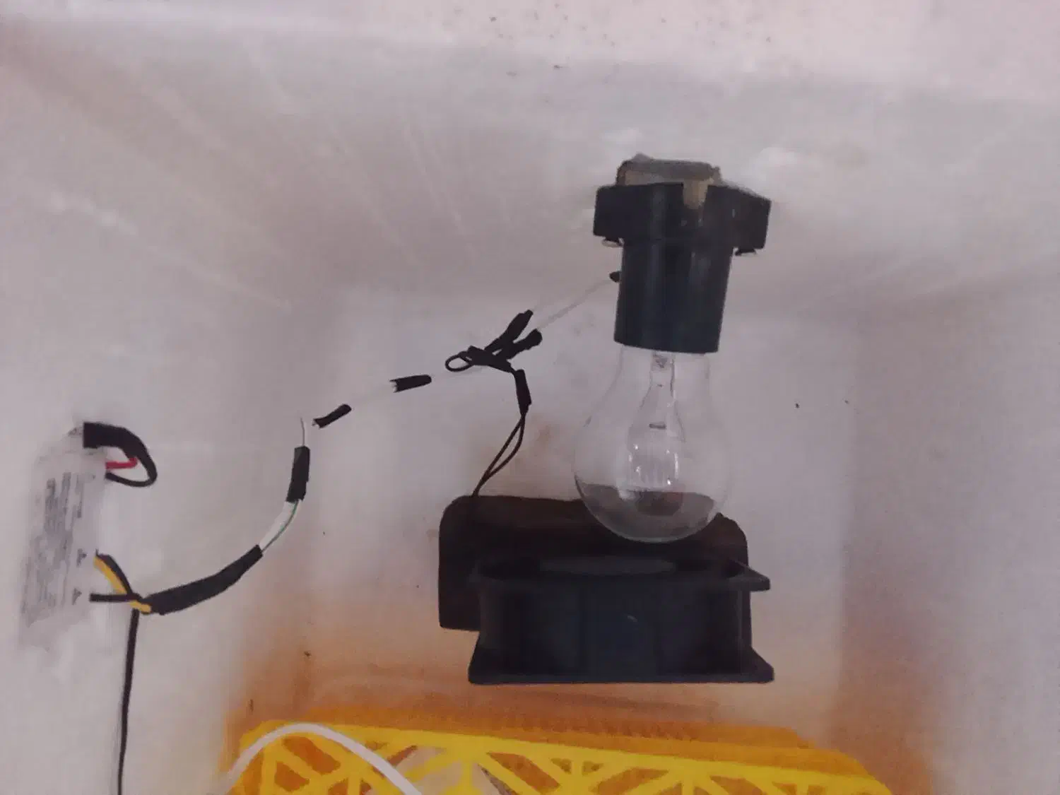 دستگاه جوجه کشی|لوازم جانبی حیوانات|آق قلا, |دیوار