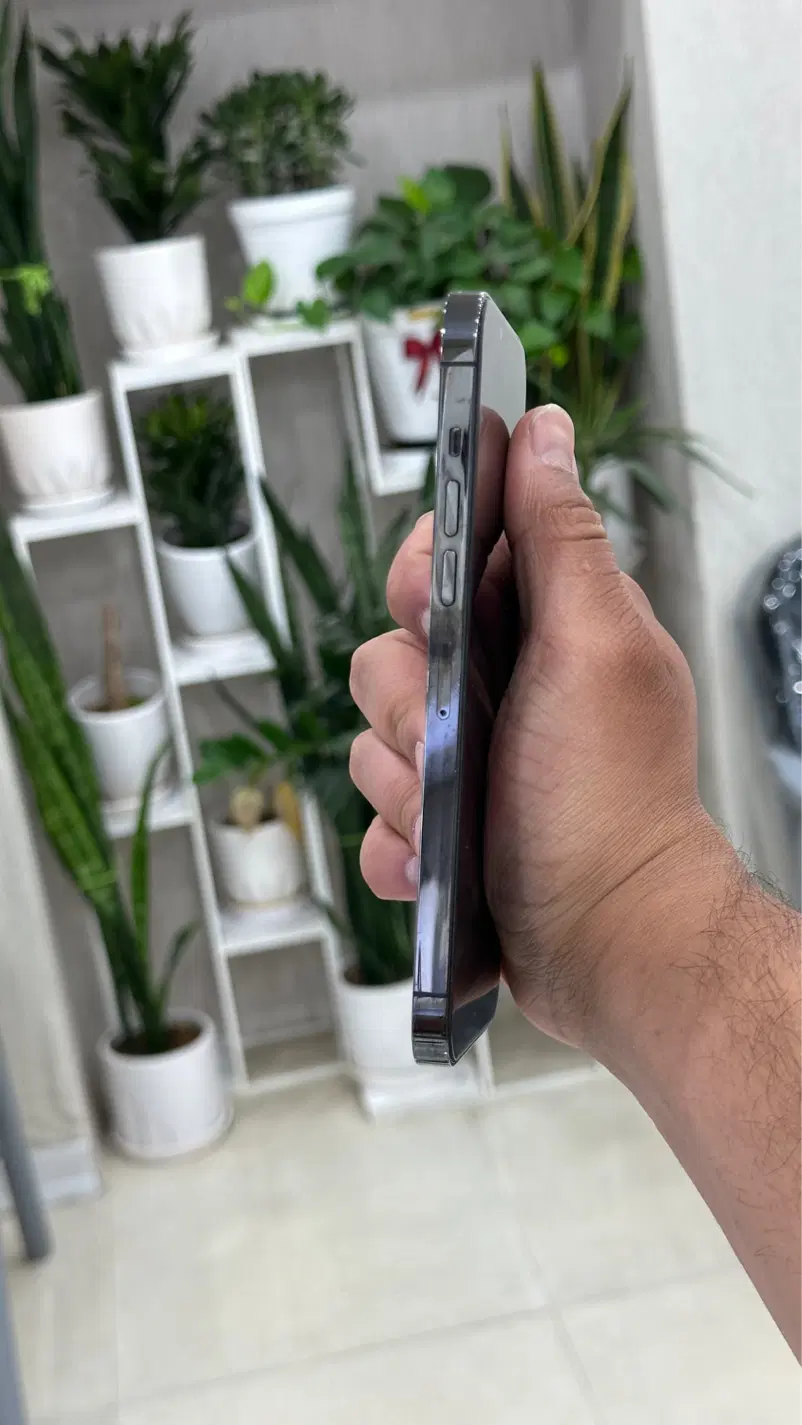13Pro Max|موبایل|یزد, |دیوار