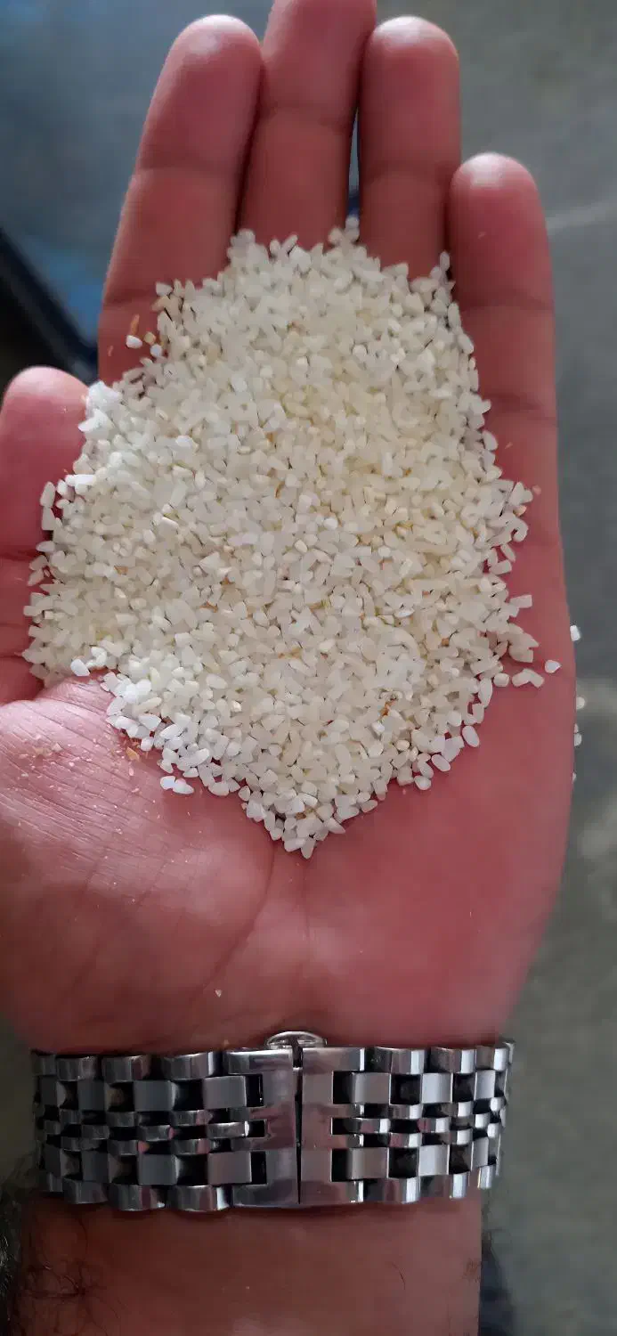 ۳۰ تن برنج چپا و ضایعات سورت شده با کیفیت|خوردنی و آشامیدنی|محمودآباد, |دیوار