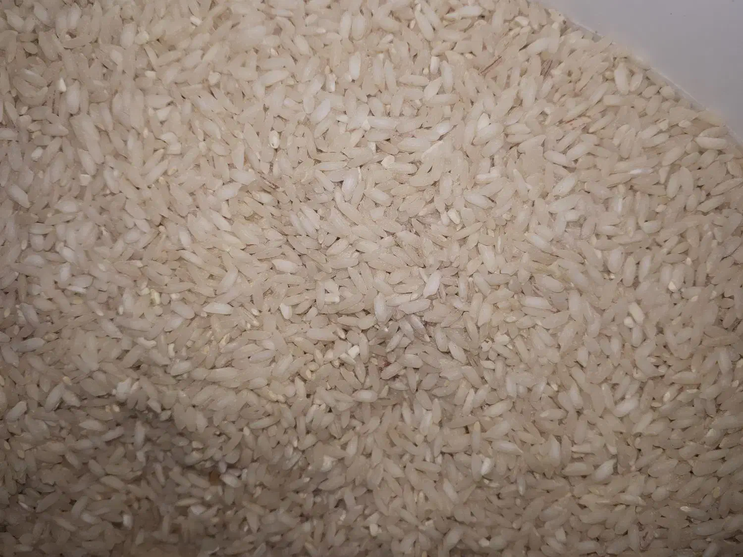 ۱۰ کیلو برنج چمپا خیجه سفید|خوردنی و آشامیدنی|رامهرمز, |دیوار
