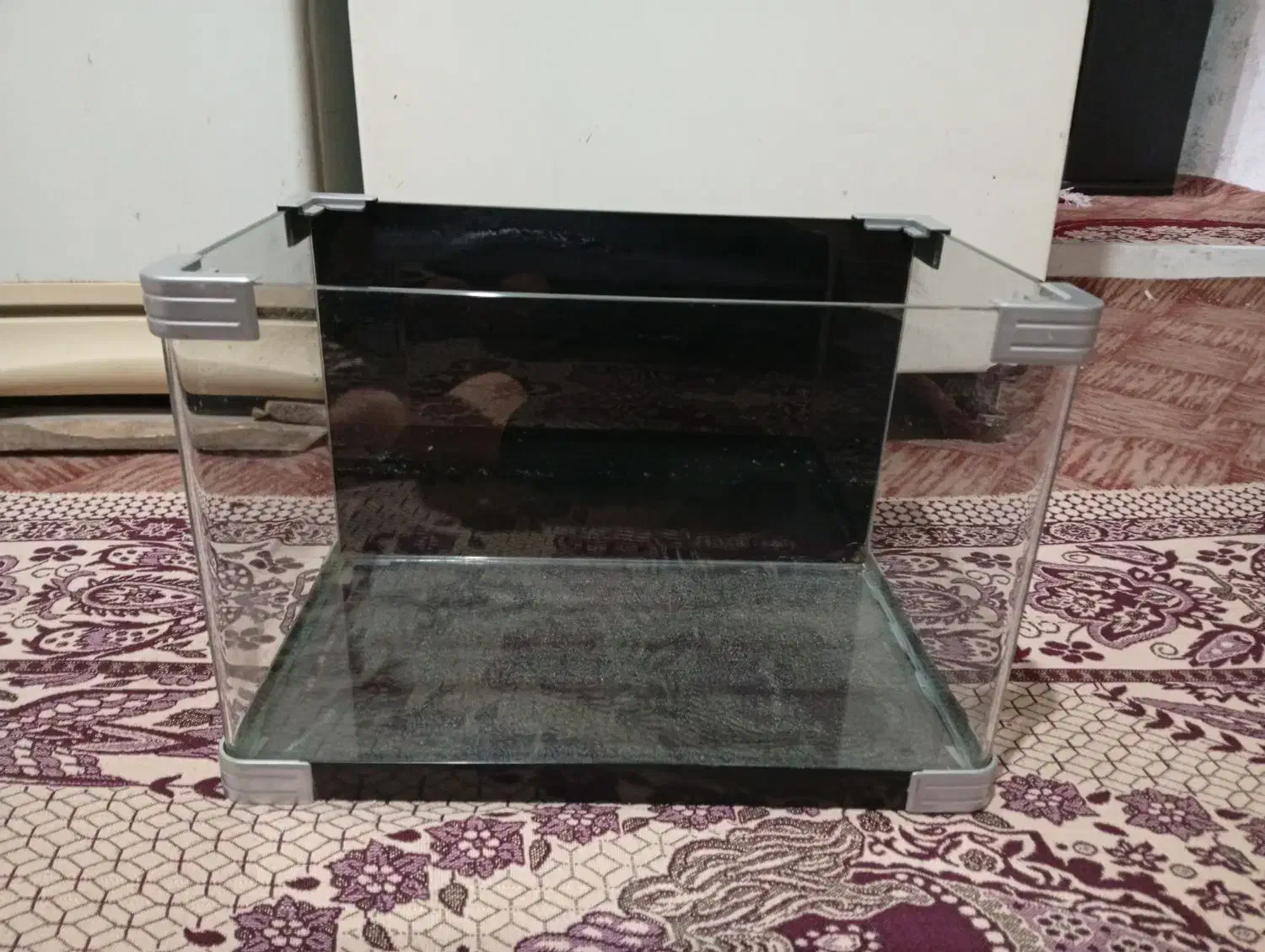 آکواریوم شیشه خم|ماهی|قرچک, مهدیه|دیوار