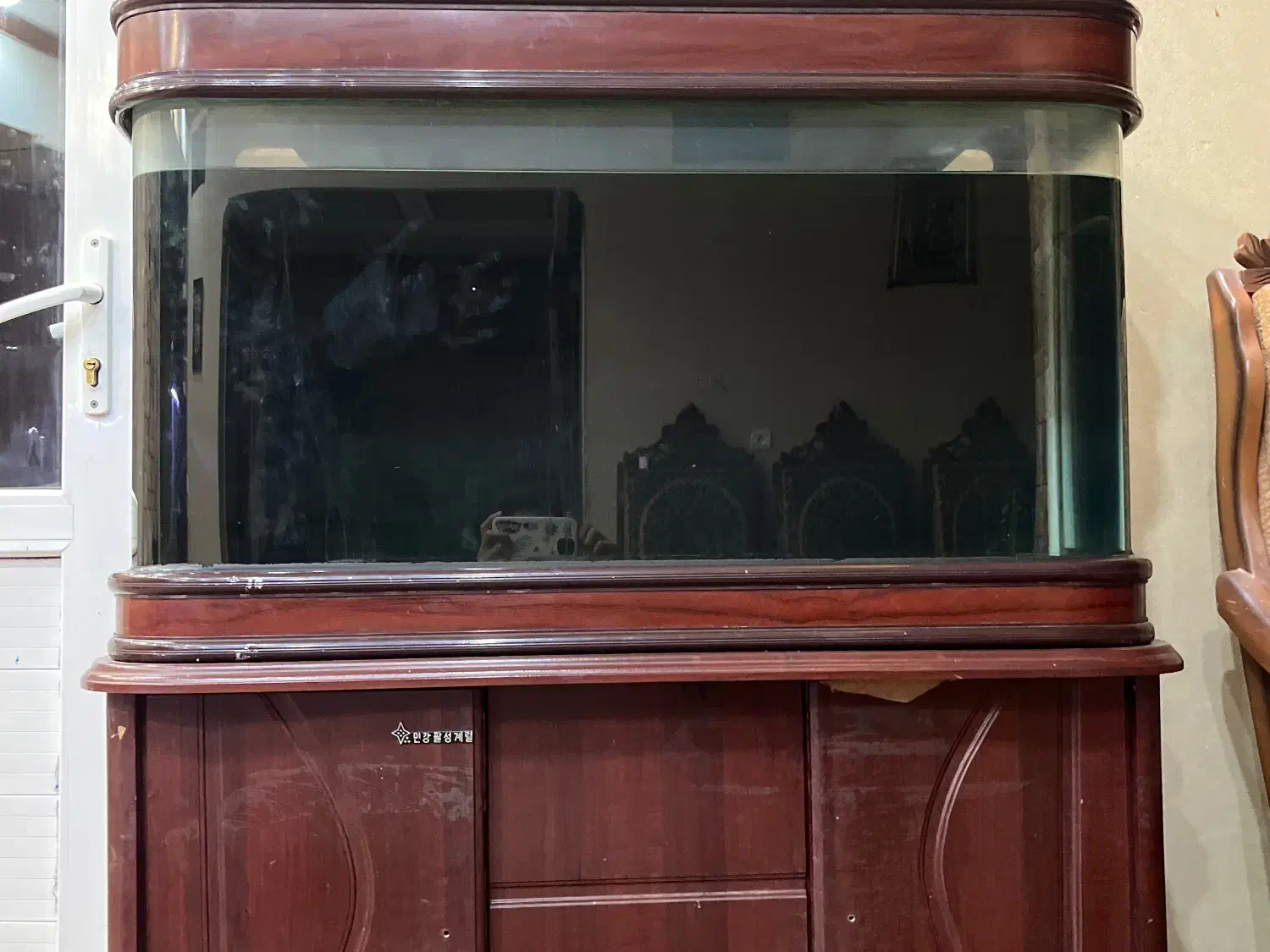 آکواریوم|ماهی|کرمان, |دیوار