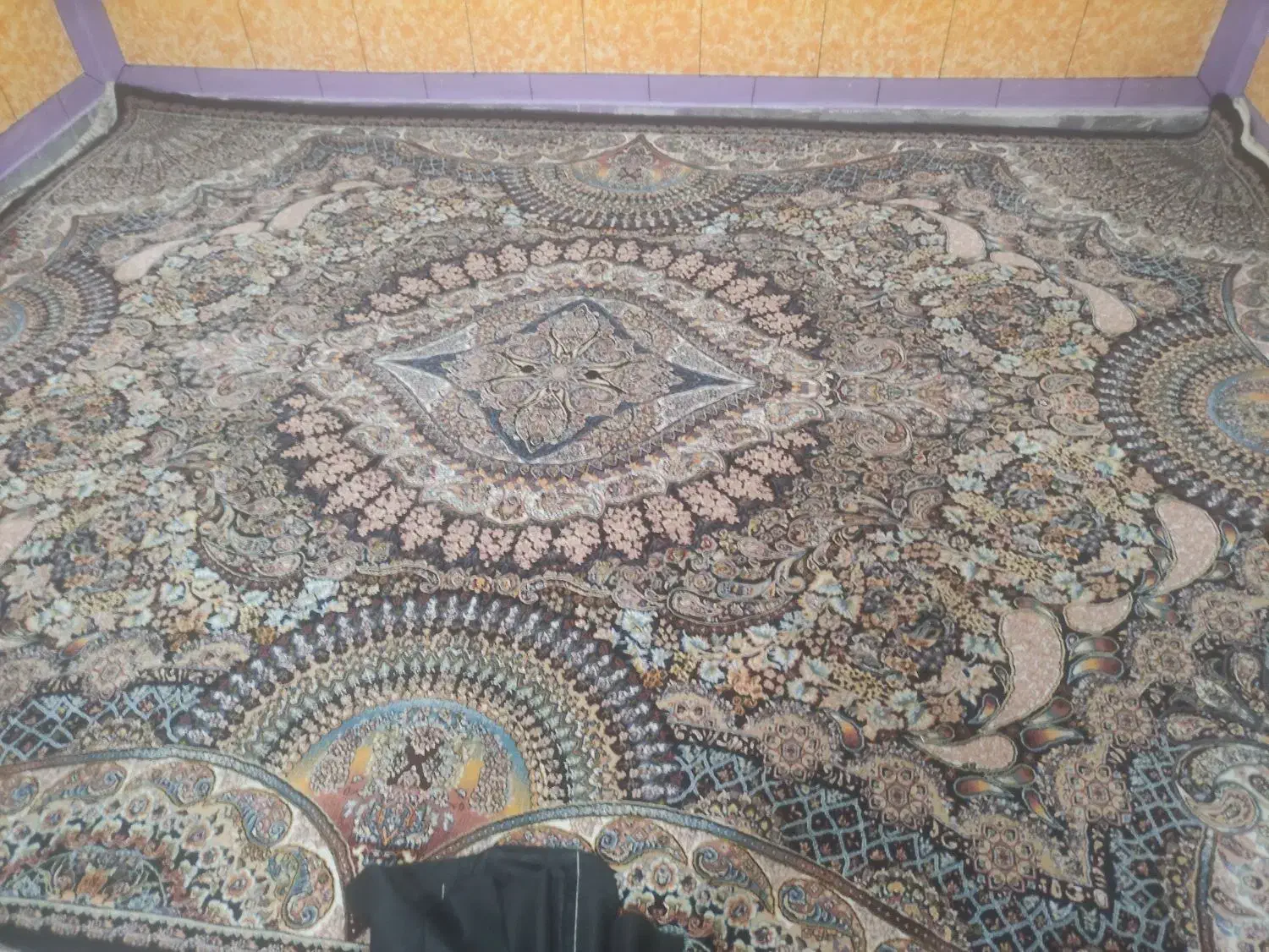 یک جفت فرش|فرش|هیرمند, |دیوار