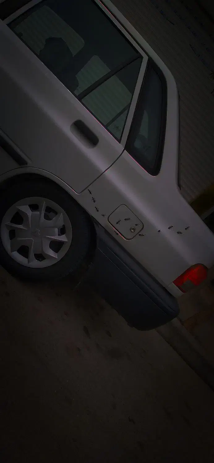 سرقت شده|اشیا|مشهد, عیدگاه|دیوار