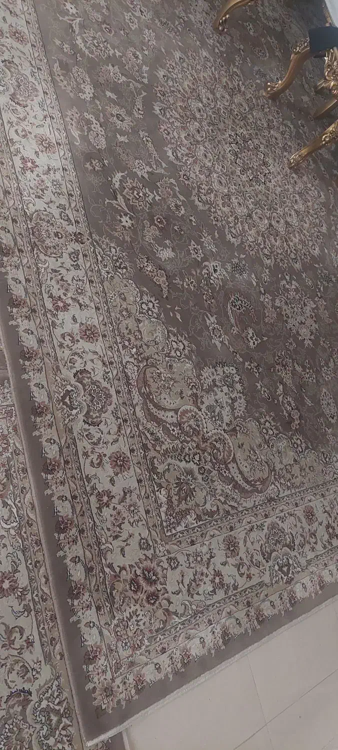 فرش ۱۲ متری|فرش|ساوه, |دیوار