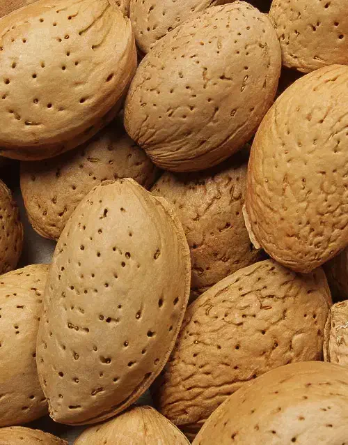 بادام درختی|خوردنی و آشامیدنی|مسجد سلیمان, |دیوار