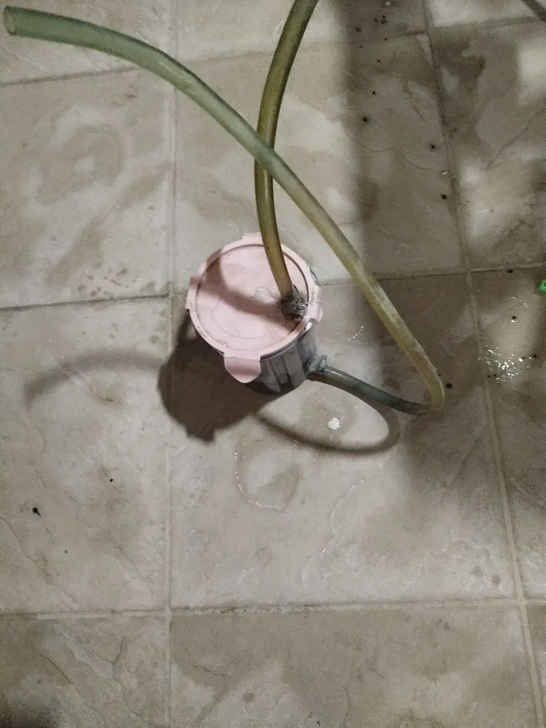 اکواریوم زیبا وسایل|ماهی|مشهد, سیلو|دیوار