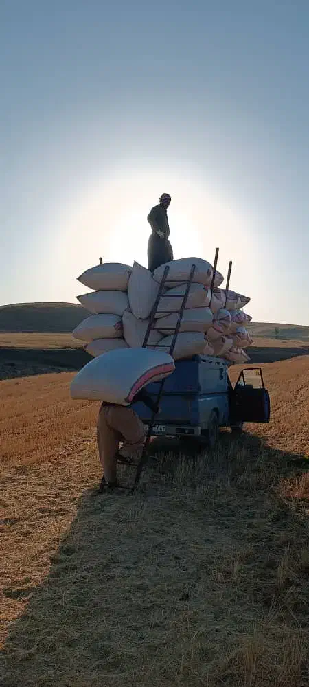 وانت نیسان وانت بارکرایه|خدمات حمل و نقل|شهرکرد, |دیوار