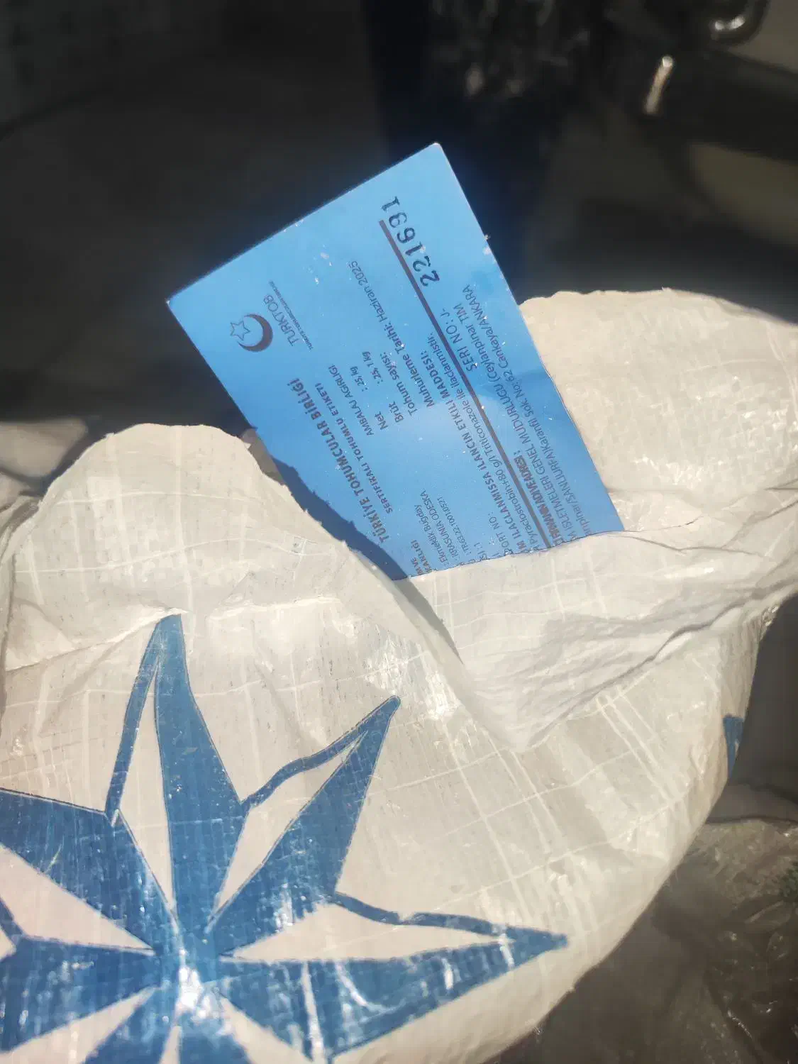 بذر گندم اوکراینی در سه رقم|خدمات باغبانی و درختکاری|باوی, |دیوار