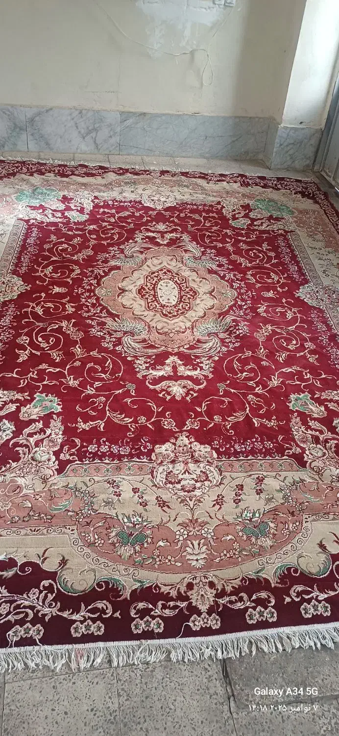 فرش ۱۲متری|فرش|زنجان, |دیوار