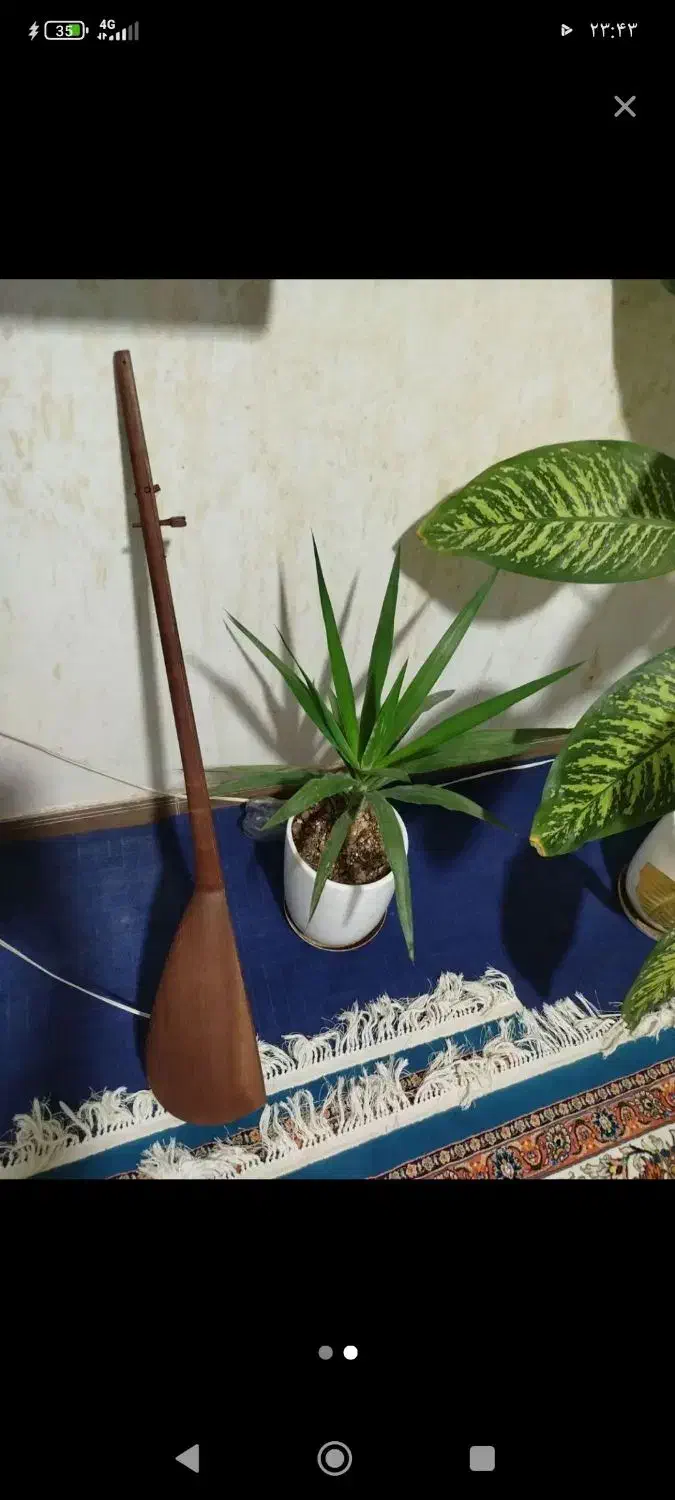 دوتار خراسانی|سازهای سنتی|مشهد, میان ولایت|دیوار