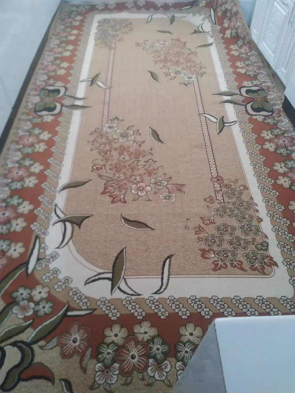 گلیم فرش|گلیم، جاجیم، گبه|قروه, |دیوار