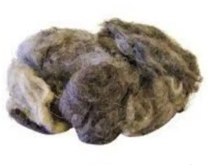 پشم|حیوانات مزرعه|نوبران, |دیوار