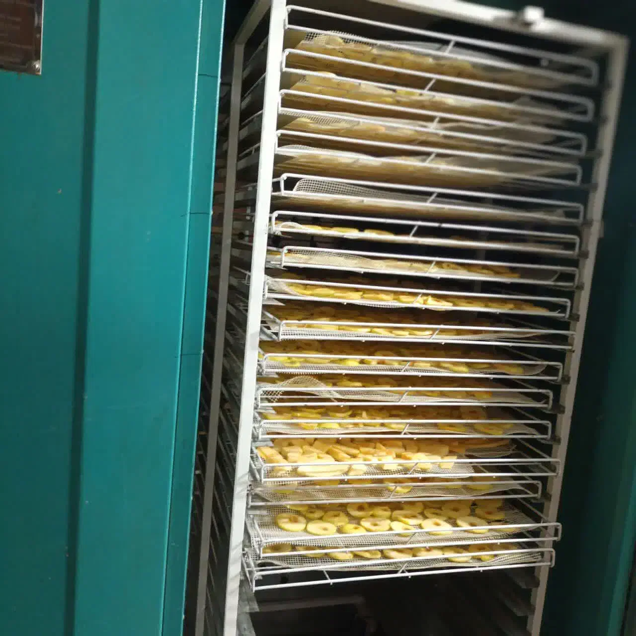 دستگاه خشک کن میوه و سبزیجات|ماشین‌آلات صنعتی|برخوار, |دیوار