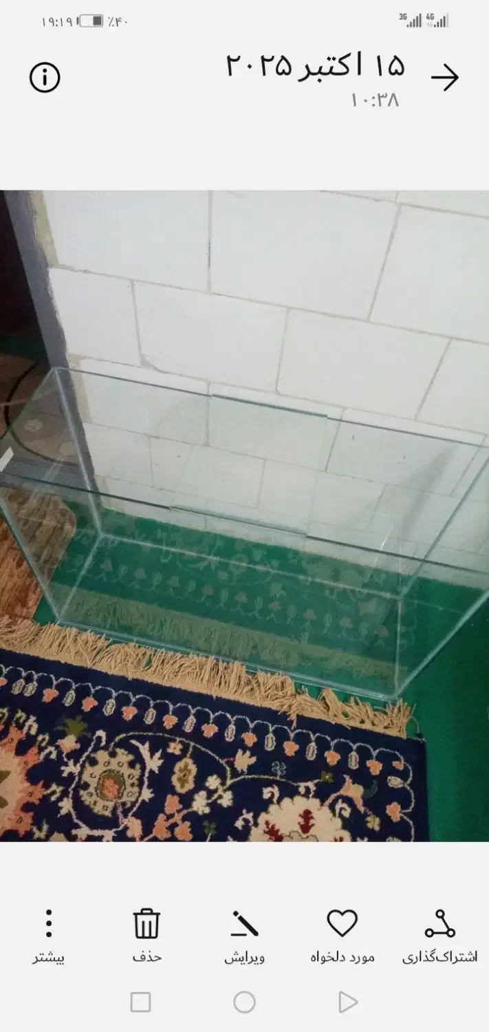 اکواریم|ماهی|یزد, |دیوار