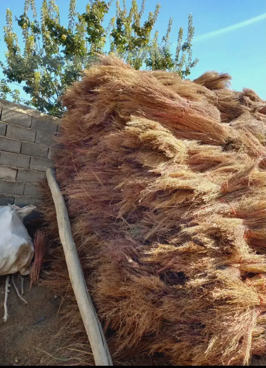 جارو فراشی|لوازم نظافت|سرپل ذهاب, |دیوار